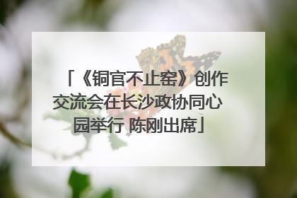 《铜官不止窑》创作交流会在长沙政协同心园举行 陈刚出席