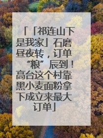 「祁连山下是我家」石磨昼夜转，订单“粮”辰到！高台这个村靠黑小麦面粉拿下成立来最大订单