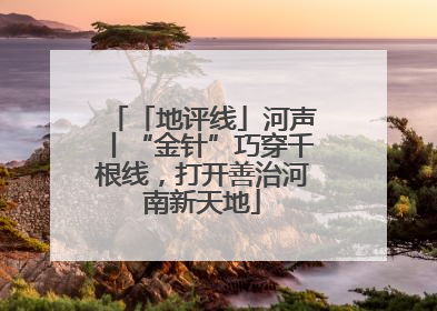 「地评线」河声丨“金针”巧穿千根线，打开善治河南新天地