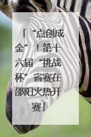 “点创成金”！第十六届“挑战杯”省赛在邵阳火热开赛