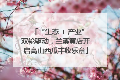 “生态 + 产业”双轮驱动，兰溪黄店开启高山西瓜丰收乐章