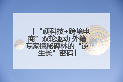 “硬科技+跨境电商”双轮驱动 外籍专家探秘碑林的“逆生长”密码