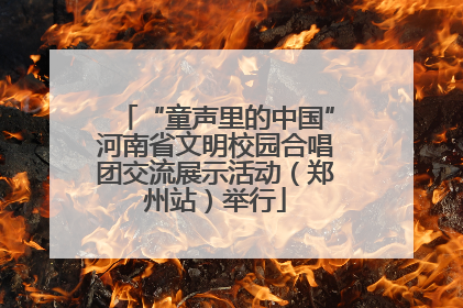 “童声里的中国”河南省文明校园合唱团交流展示活动（郑州站）举行