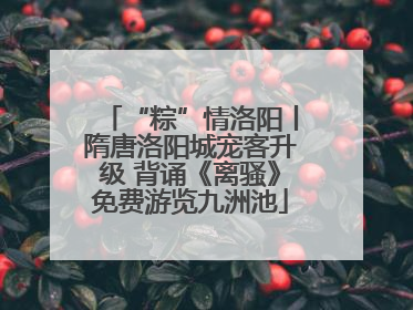 “粽”情洛阳丨隋唐洛阳城宠客升级 背诵《离骚》免费游览九洲池