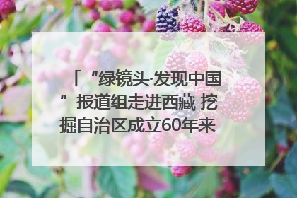 “绿镜头·发现中国”报道组走进西藏 挖掘自治区成立60年来生动气象故事
