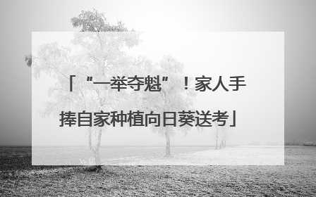 “一举夺魁”！家人手捧自家种植向日葵送考