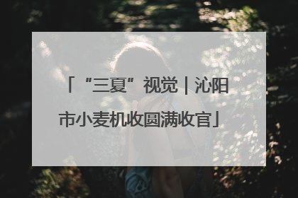 “三夏”视觉｜沁阳市小麦机收圆满收官