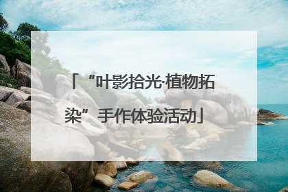 “叶影拾光·植物拓染”手作体验活动