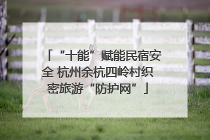 “十能”赋能民宿安全 杭州余杭四岭村织密旅游“防护网”