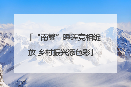 “南繁”睡莲竞相绽放 乡村振兴添色彩
