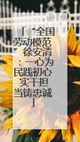 “全国劳动模范”徐安清：一心为民践初心 实干担当铸忠诚