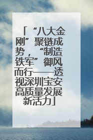 “八大金刚”聚链成势，“制造铁军”御风而行——透视深圳宝安高质量发展新活力