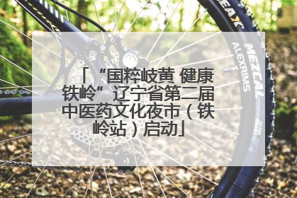“国粹岐黄 健康铁岭”辽宁省第二届中医药文化夜市（铁岭站）启动
