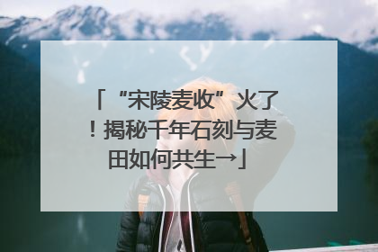 “宋陵麦收”火了！揭秘千年石刻与麦田如何共生→