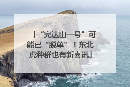 “完达山一号”可能已“脱单”！东北虎种群也有新喜讯