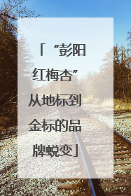“彭阳红梅杏”从地标到金标的品牌蜕变