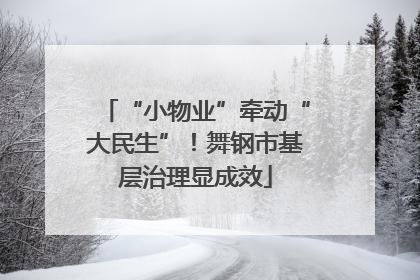 “小物业”牵动“大民生”！舞钢市基层治理显成效