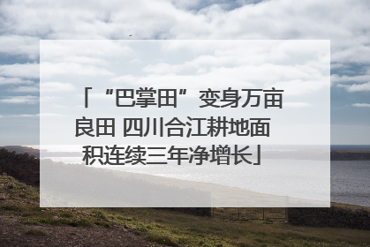 “巴掌田”变身万亩良田 四川合江耕地面积连续三年净增长