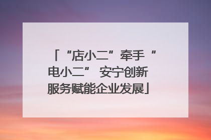 “店小二”牵手“电小二” 安宁创新服务赋能企业发展