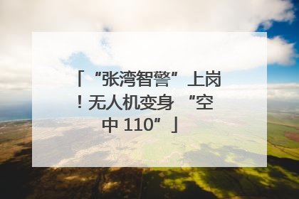 “张湾智警”上岗！无人机变身 “空中 110”
