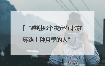 “感谢那个决定在北京环路上种月季的人”