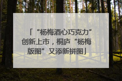“杨梅酒心巧克力”创新上市，桐庐“杨梅版图”又添新拼图