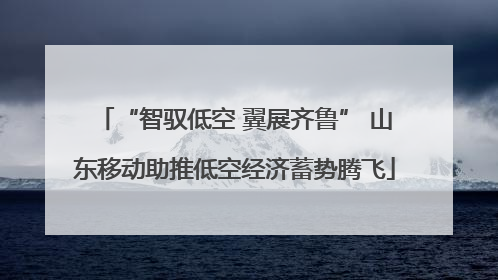 “智驭低空 翼展齐鲁” 山东移动助推低空经济蓄势腾飞