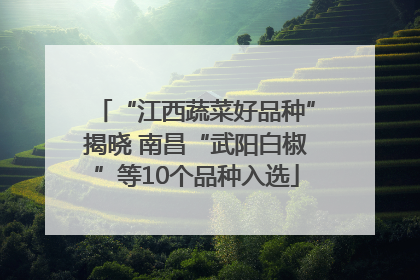 “江西蔬菜好品种”揭晓 南昌“武阳白椒”等10个品种入选