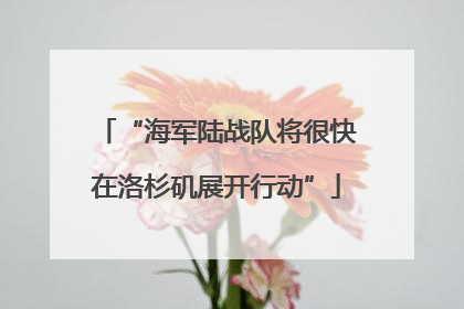 “海军陆战队将很快在洛杉矶展开行动”