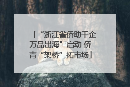 “浙江省侨助千企万品出海”启动 侨青“架桥”拓市场