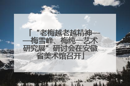 “老梅越老越精神——梅雪峰、梅纯一艺术研究展”研讨会在安徽省美术馆召开