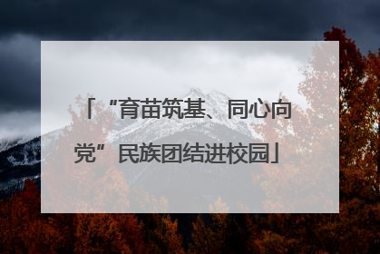 “育苗筑基、同心向党”民族团结进校园