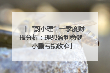 “蔚小理”一季度财报分析：理想盈利稳健 小鹏亏损收窄