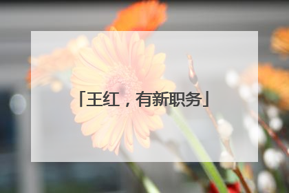 王红，有新职务