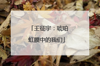 王征宇：琥珀虹膜中的我们