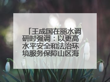 王成国在丽水调研时强调：以更高水平安全和法治环境服务保障山区海岛县高质量发展