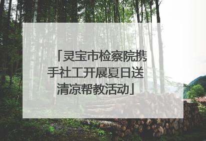 灵宝市检察院携手社工开展夏日送清凉帮教活动