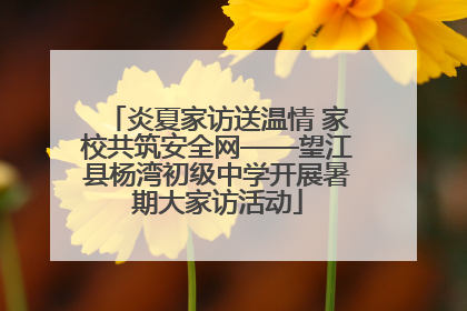 炎夏家访送温情 家校共筑安全网——望江县杨湾初级中学开展暑期大家访活动