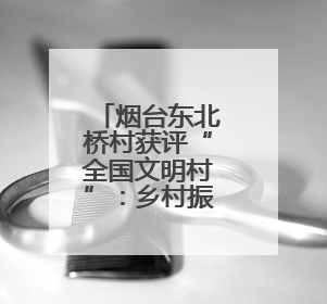 烟台东北桥村获评“全国文明村”：乡村振兴展新貌