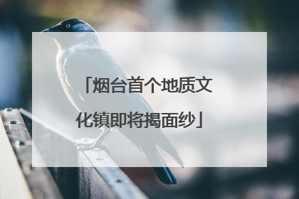 烟台首个地质文化镇即将揭面纱