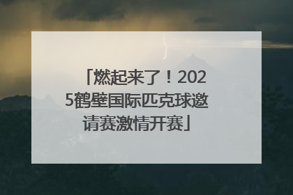 燃起来了！2025鹤壁国际匹克球邀请赛激情开赛