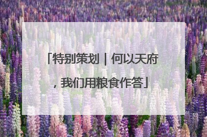 特别策划｜何以天府，我们用粮食作答