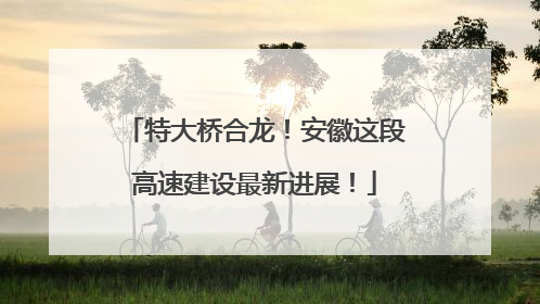 特大桥合龙！安徽这段高速建设最新进展！