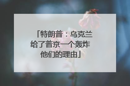 特朗普：乌克兰给了普京一个轰炸他们的理由