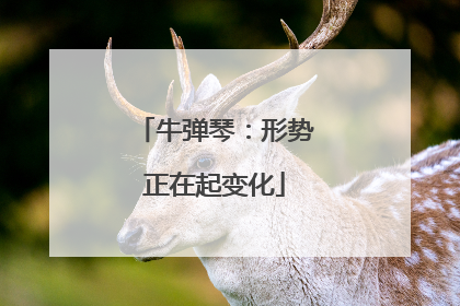 牛弹琴：形势正在起变化