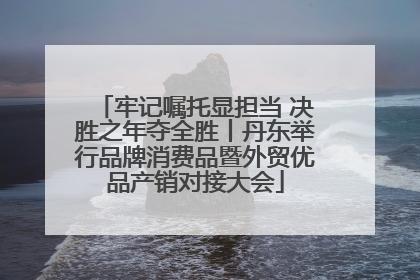牢记嘱托显担当 决胜之年夺全胜丨丹东举行品牌消费品暨外贸优品产销对接大会