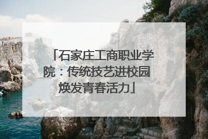 石家庄工商职业学院：传统技艺进校园焕发青春活力