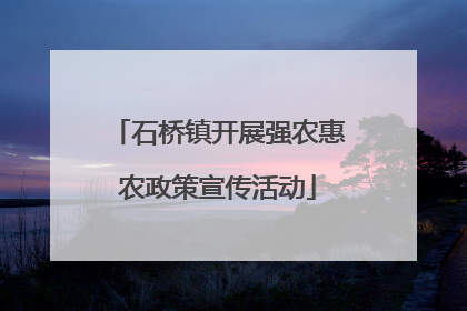 石桥镇开展强农惠农政策宣传活动