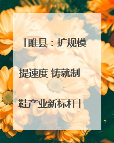 睢县：扩规模提速度 铸就制鞋产业新标杆