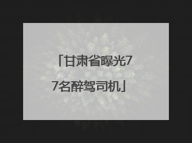 甘肃省曝光77名醉驾司机